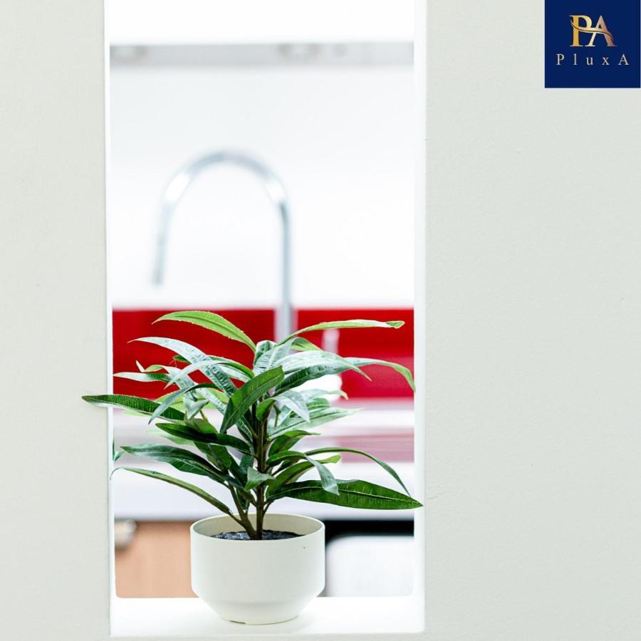 Pluxa Vivid Veranda Beautiful City Centre Apartment With Free Parking Birmingham Esterno foto